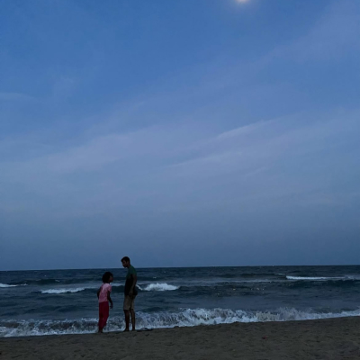 Two clownfish swimming around Malaysian coral